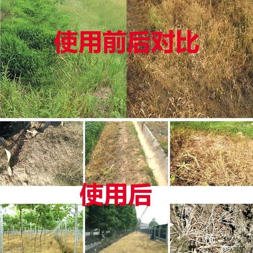 批发果园林园草甘膦除草剂烂根死根荒地杂草除草剂农药