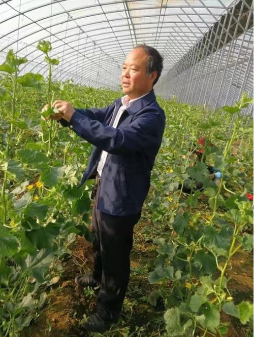 安阳市内黄县优秀致富带头人 林新玉